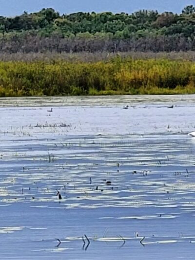 McMillan Marsh Bike Trail - Marshfield, WI