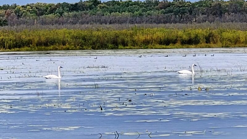 McMillan Marsh Bike Trail - Marshfield, WI