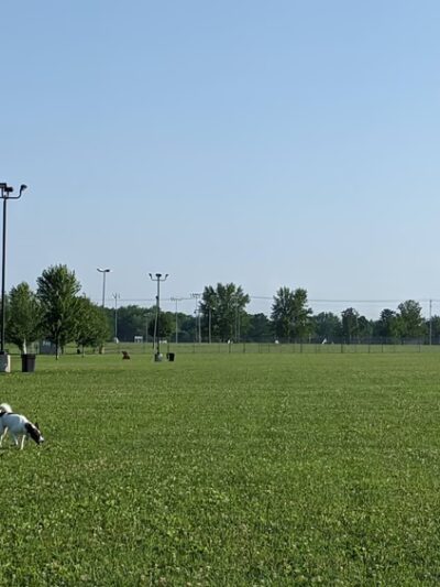 Paws 'n Play Dog Park - Marshfield, WI