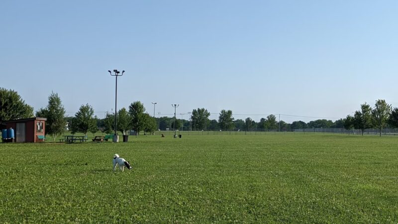 Paws 'n Play Dog Park - Marshfield, WI