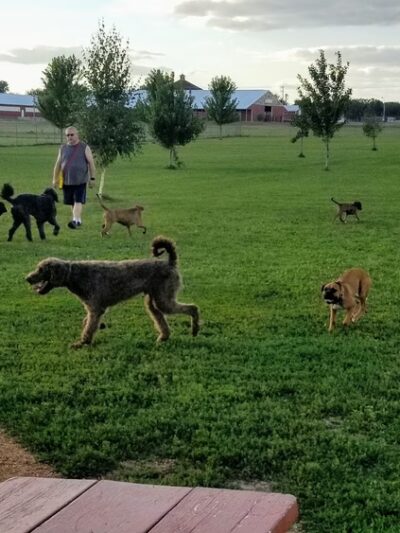 Paws 'n Play Dog Park - Marshfield, WI