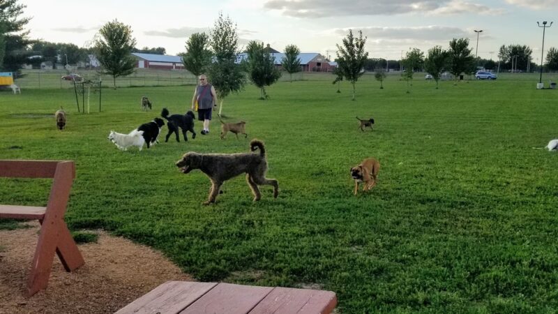 Paws 'n Play Dog Park - Marshfield, WI
