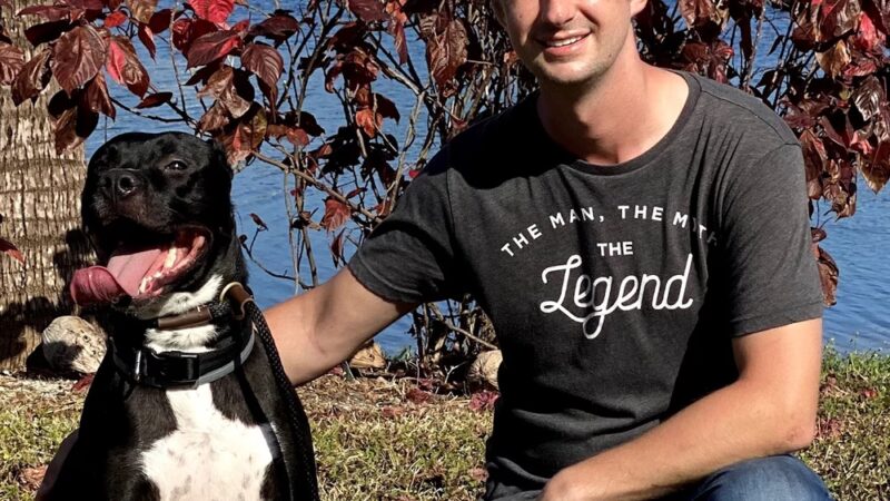 My Dog Rehab & Doggy Daycare - Martinton, IL