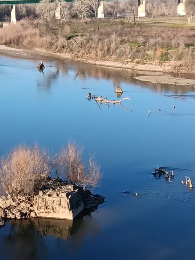 Beckwourth Riverfront Park - Marysville, CA