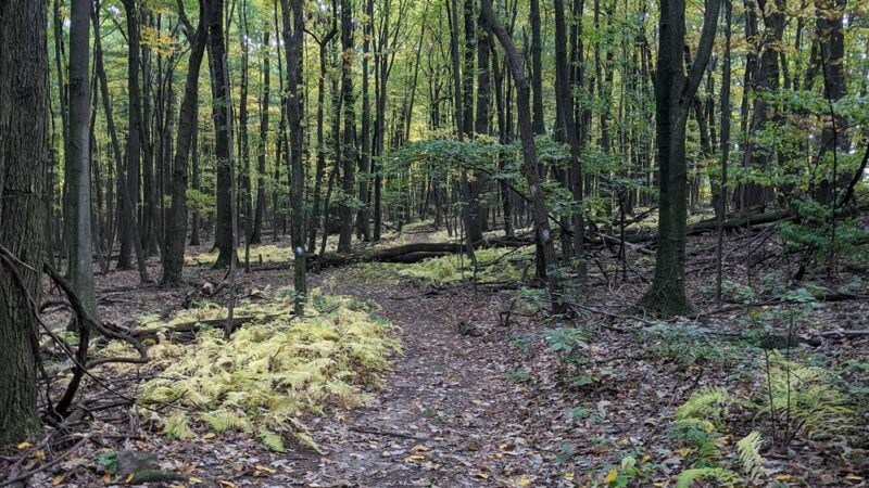 Darlington Trail - Marysville, PA