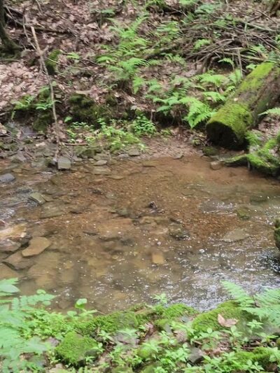 Darlington Trail - Marysville, PA