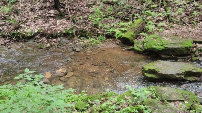 Darlington Trail - Marysville, PA