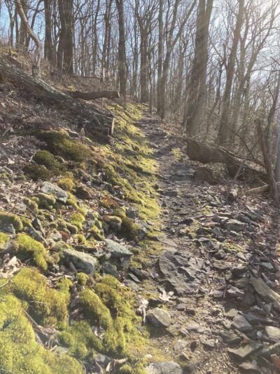 Darlington Trail - Marysville, PA