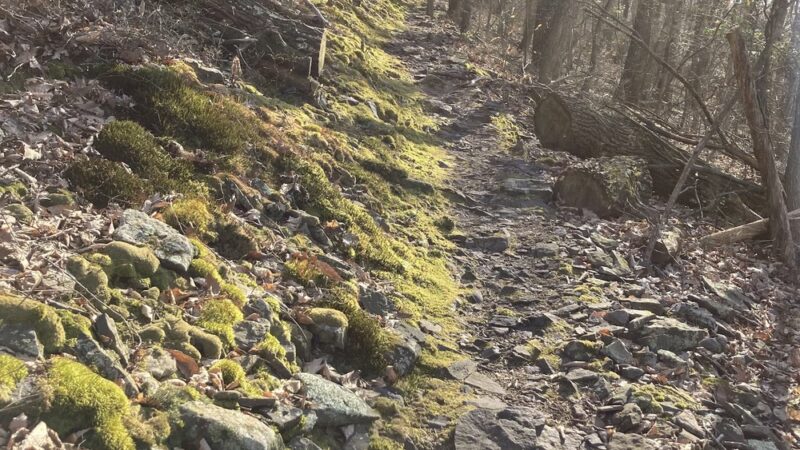 Darlington Trail - Marysville, PA