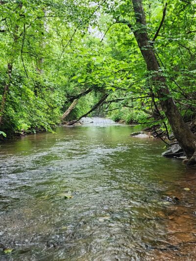 Marysville Lions Club - Marysville, PA