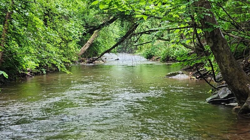 Marysville Lions Club - Marysville, PA