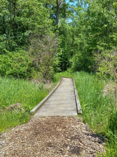 Rye Community Park - Marysville, PA