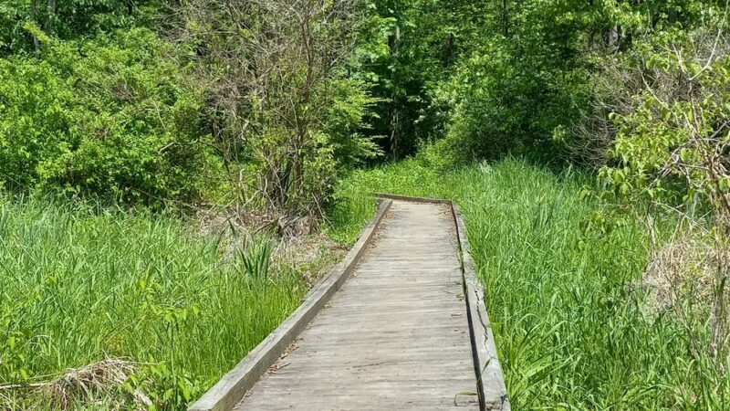 Rye Community Park - Marysville, PA