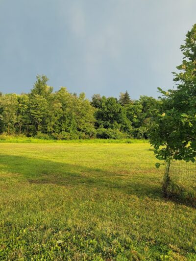 Rye Community Park - Marysville, PA