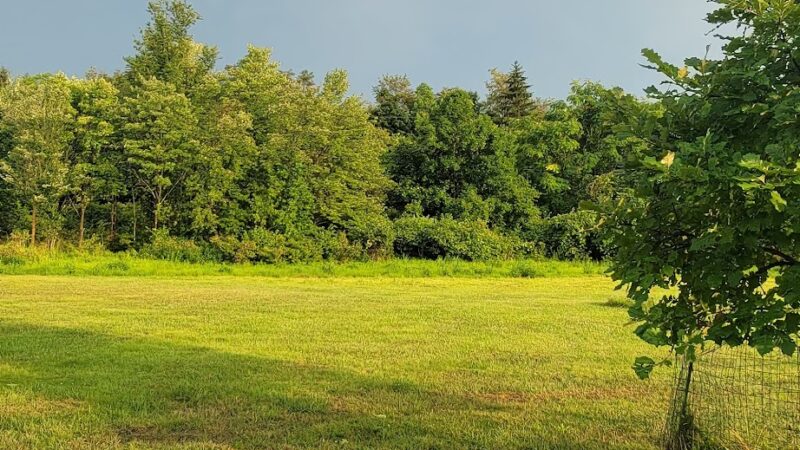 Rye Community Park - Marysville, PA