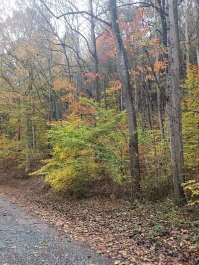 State Game Lands Number 170 - Marysville, PA