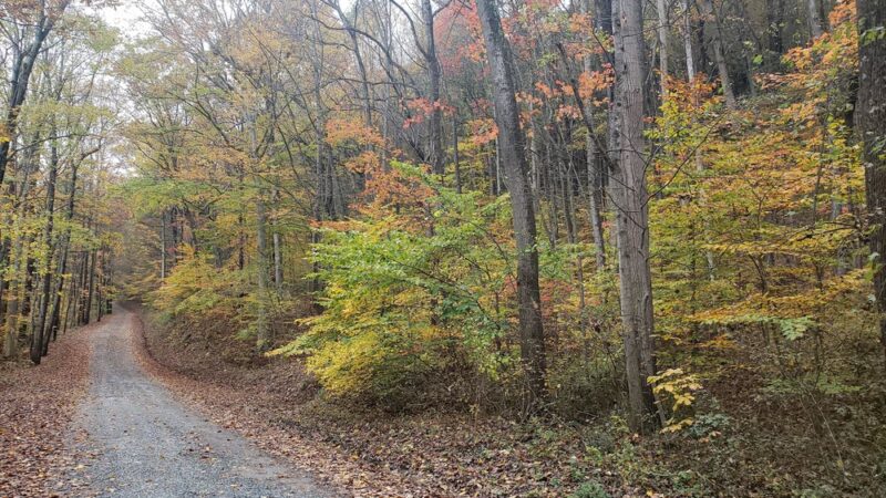 State Game Lands Number 170 - Marysville, PA