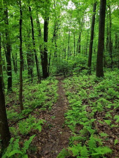 State Game Lands Number 170 - Marysville, PA