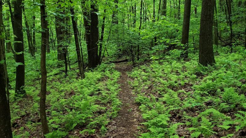 State Game Lands Number 170 - Marysville, PA