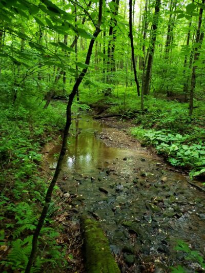 State Game Lands Number 170 - Marysville, PA