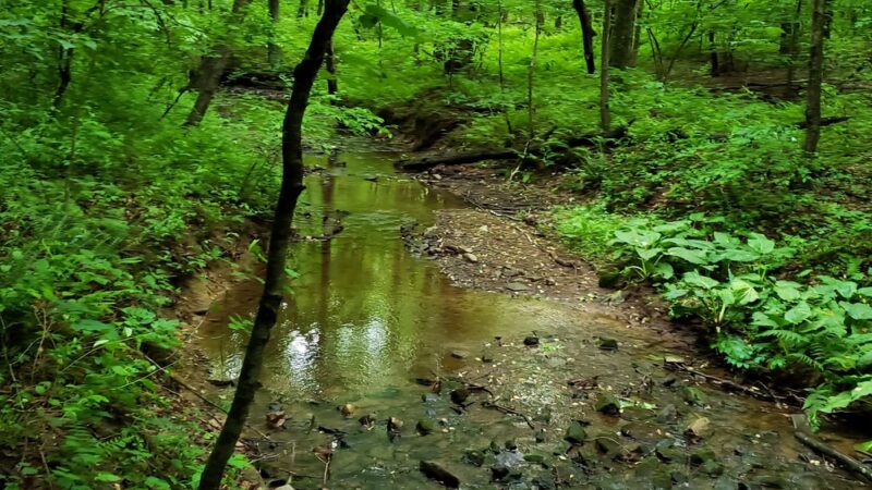 State Game Lands Number 170 - Marysville, PA