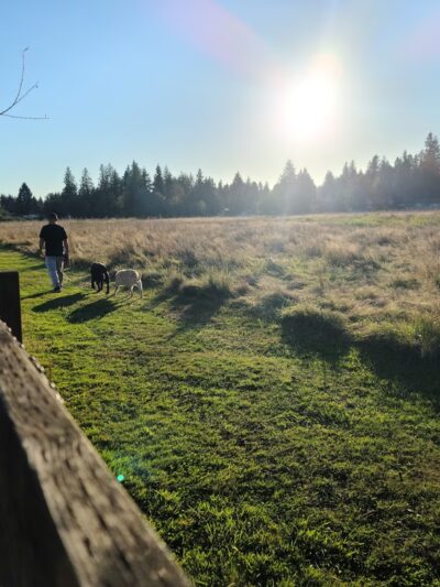 Strawberry Fields Off-Leash Dog Park - Marysville, WA