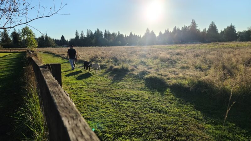 Strawberry Fields Off-Leash Dog Park - Marysville, WA