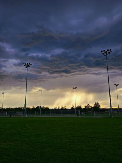 Strawberry Fields Off-Leash Dog Park - Marysville, WA