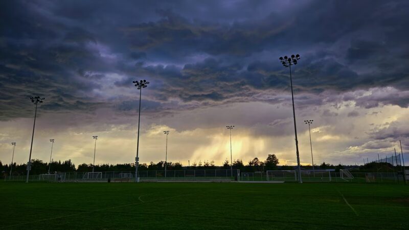 Strawberry Fields Off-Leash Dog Park - Marysville, WA