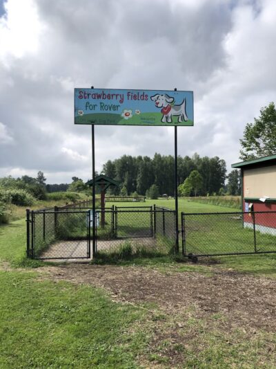 Strawberry Fields Off-Leash Dog Park - Marysville, WA