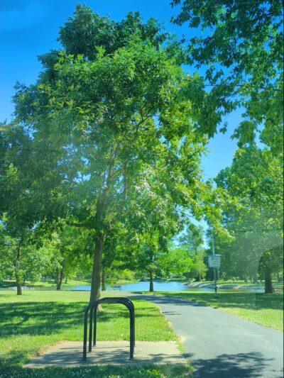 Drost Park - Maryville, IL