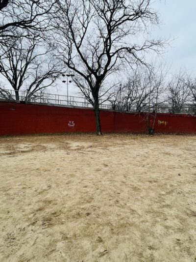 Dog Park - Maspeth, NY
