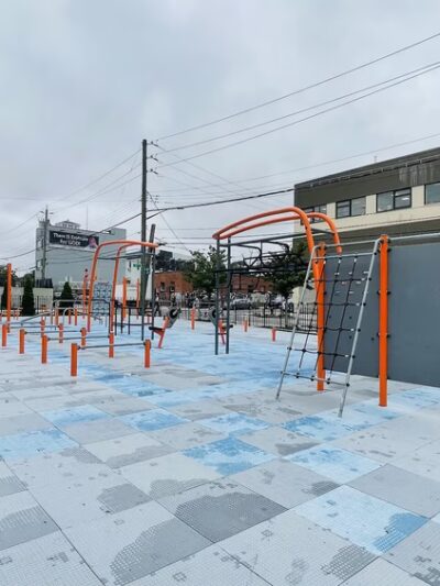 Maspeth Park - Maspeth, NY