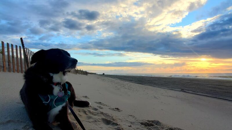 4x4 Outer Beach at Smith Point County Park - Mastic Beach, NY