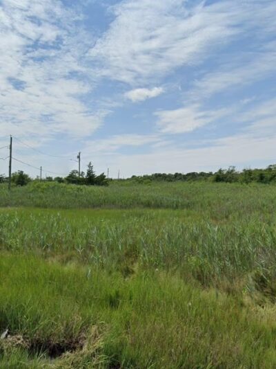 Mastic-shirley Conservation Area - Mastic Beach, NY