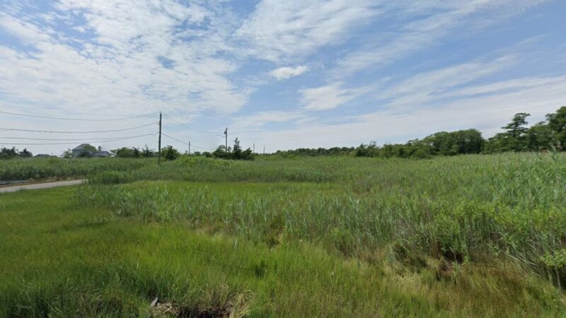 Mastic-shirley Conservation Area - Mastic Beach, NY