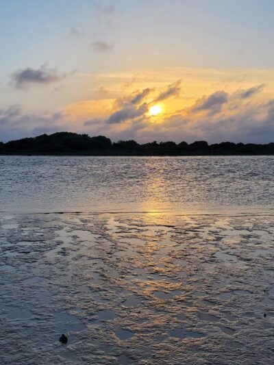 Matagorda Bay Nature Park - Matagorda, TX