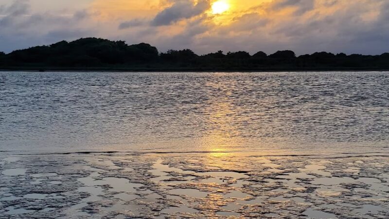 Matagorda Bay Nature Park - Matagorda, TX
