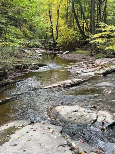 Lost River State Park - Mathias, WV