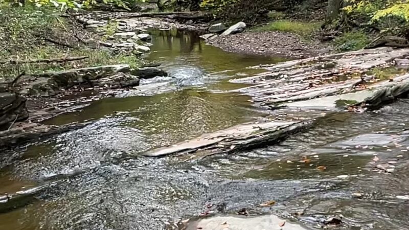 Lost River State Park - Mathias, WV