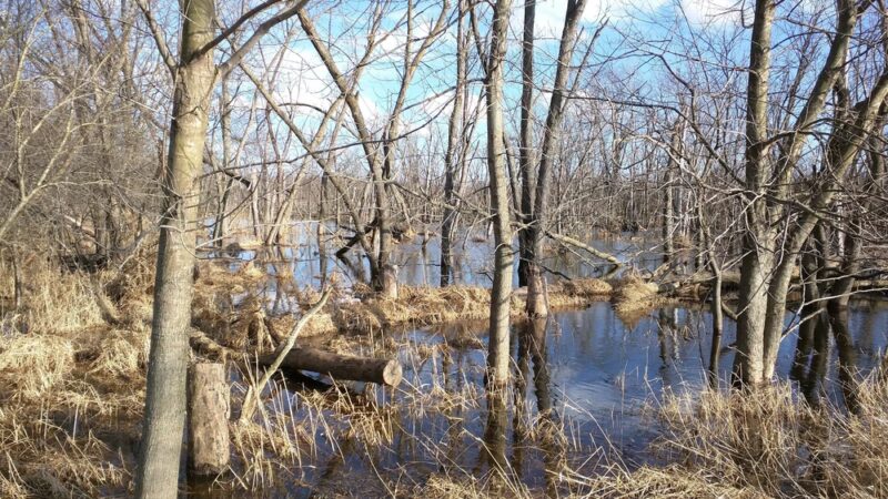 Forest Preserves of Cook County - Matteson, IL