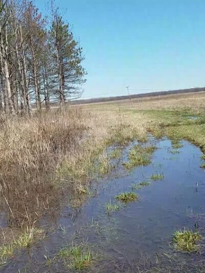 Forest Preserves of Cook County - Matteson, IL