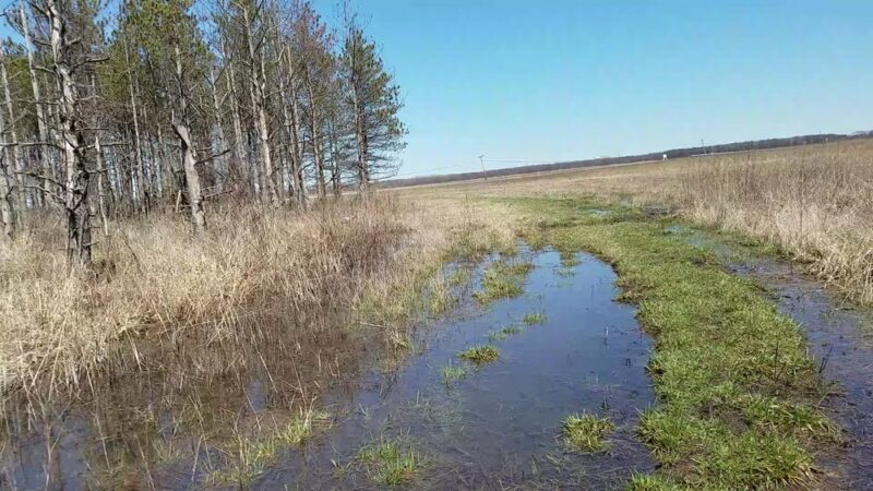 Forest Preserves of Cook County - Matteson, IL