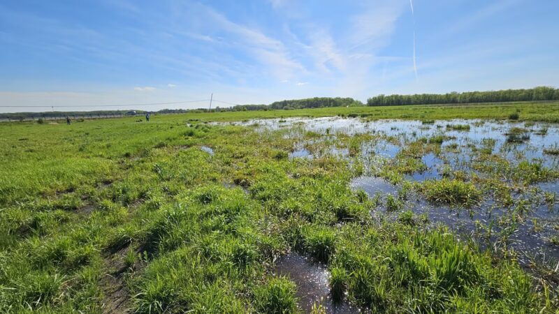 Forest Preserves of Cook County - Matteson, IL