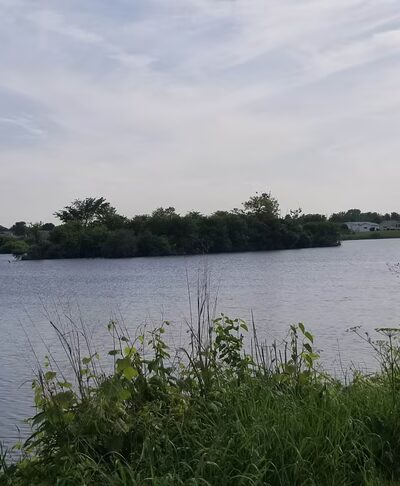 Old Plank Road Prairie Nature Preserve - Matteson, IL