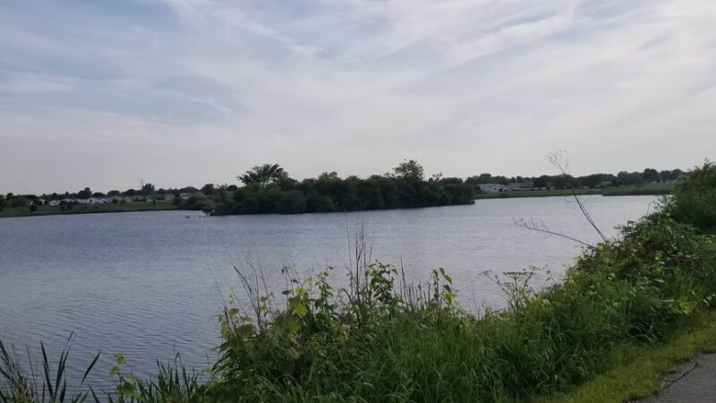 Old Plank Road Prairie Nature Preserve - Matteson, IL