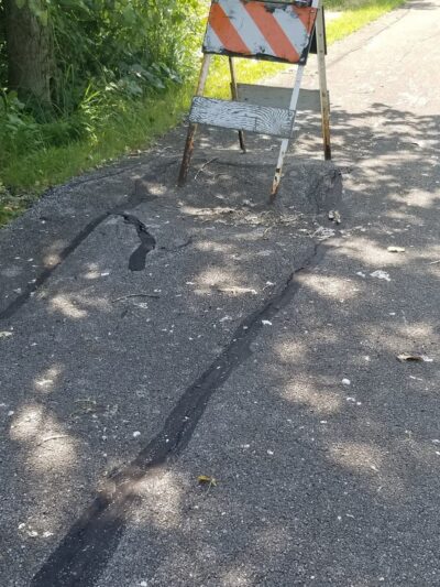 Old Plank Road Prairie Nature Preserve - Matteson, IL