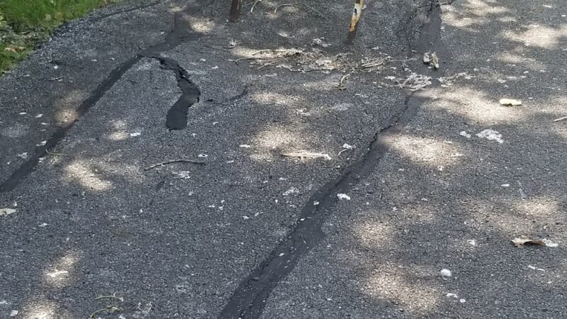 Old Plank Road Prairie Nature Preserve - Matteson, IL