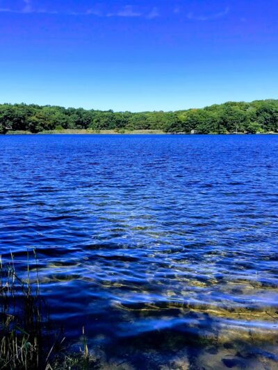 Laurel Lake Park - Mattituck, NY