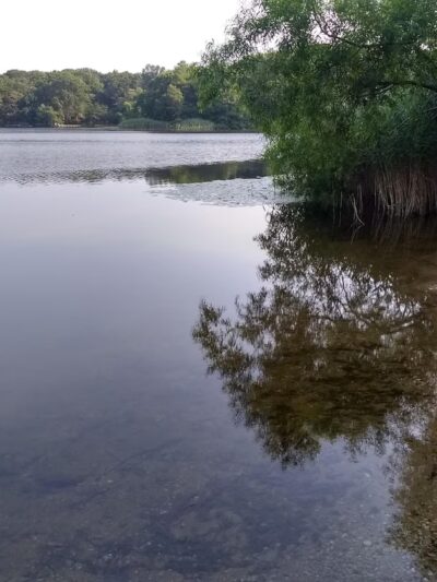 Laurel Lake Park - Mattituck, NY